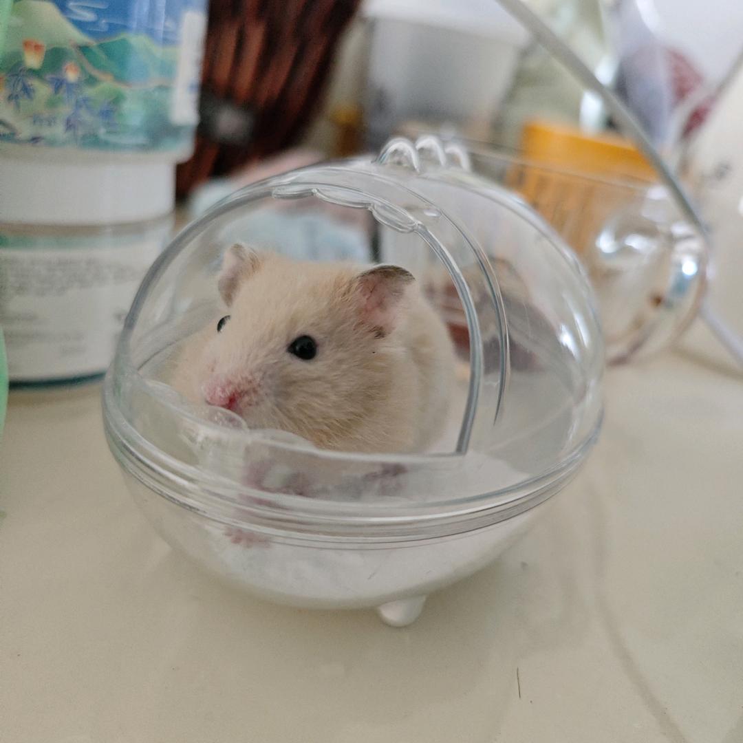 默默无闻的帅哥