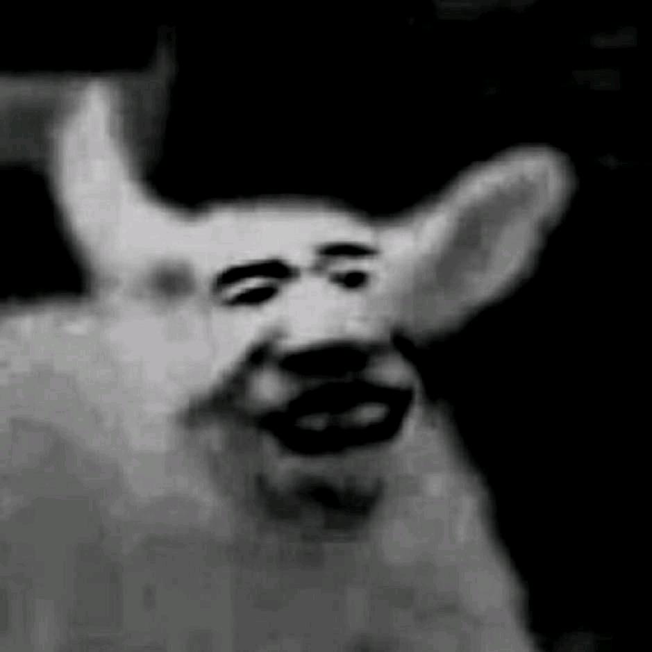 鸟王3000
