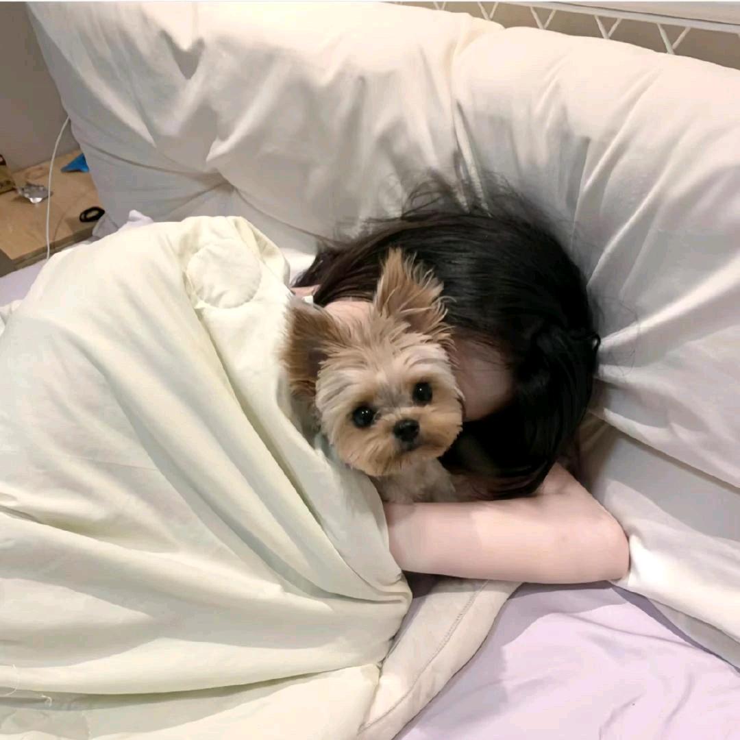 柚茶