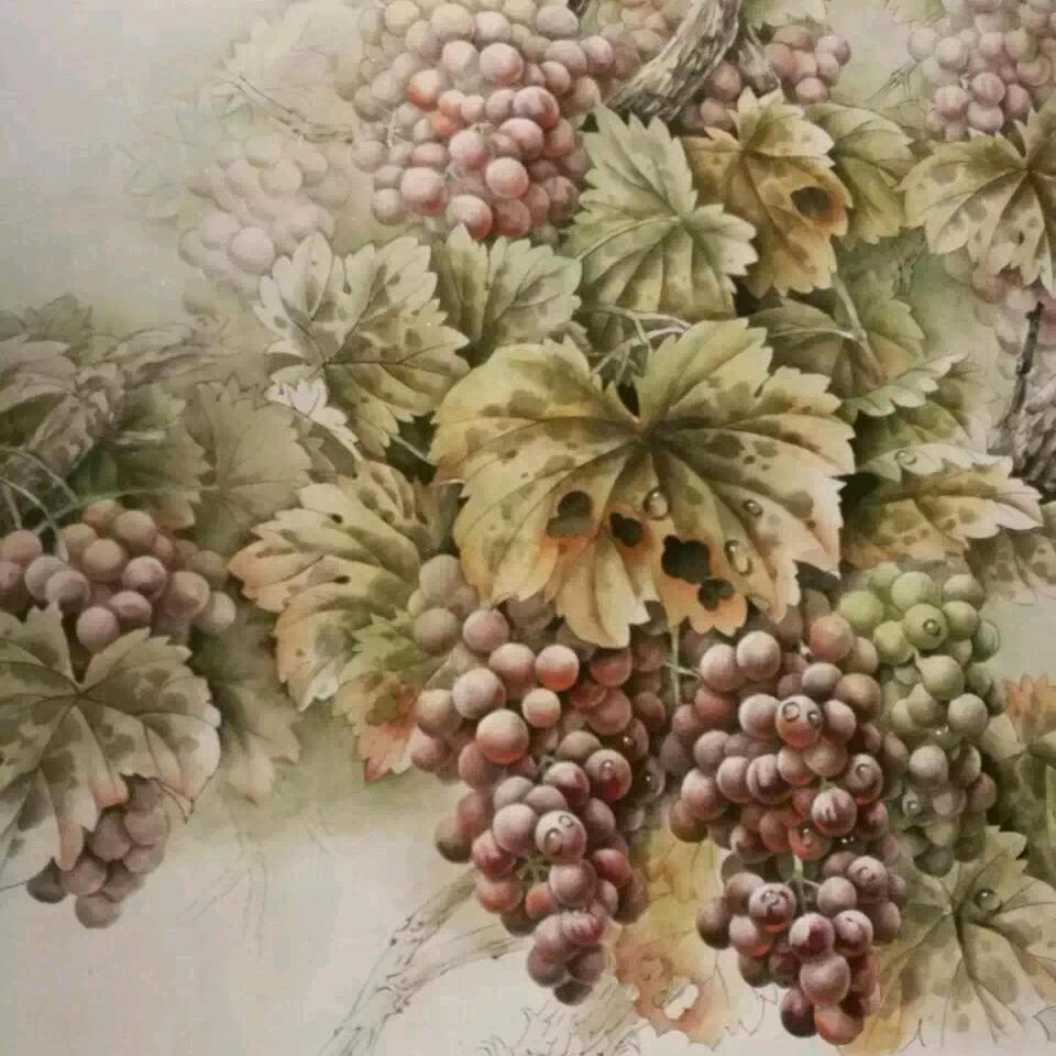 范家头像