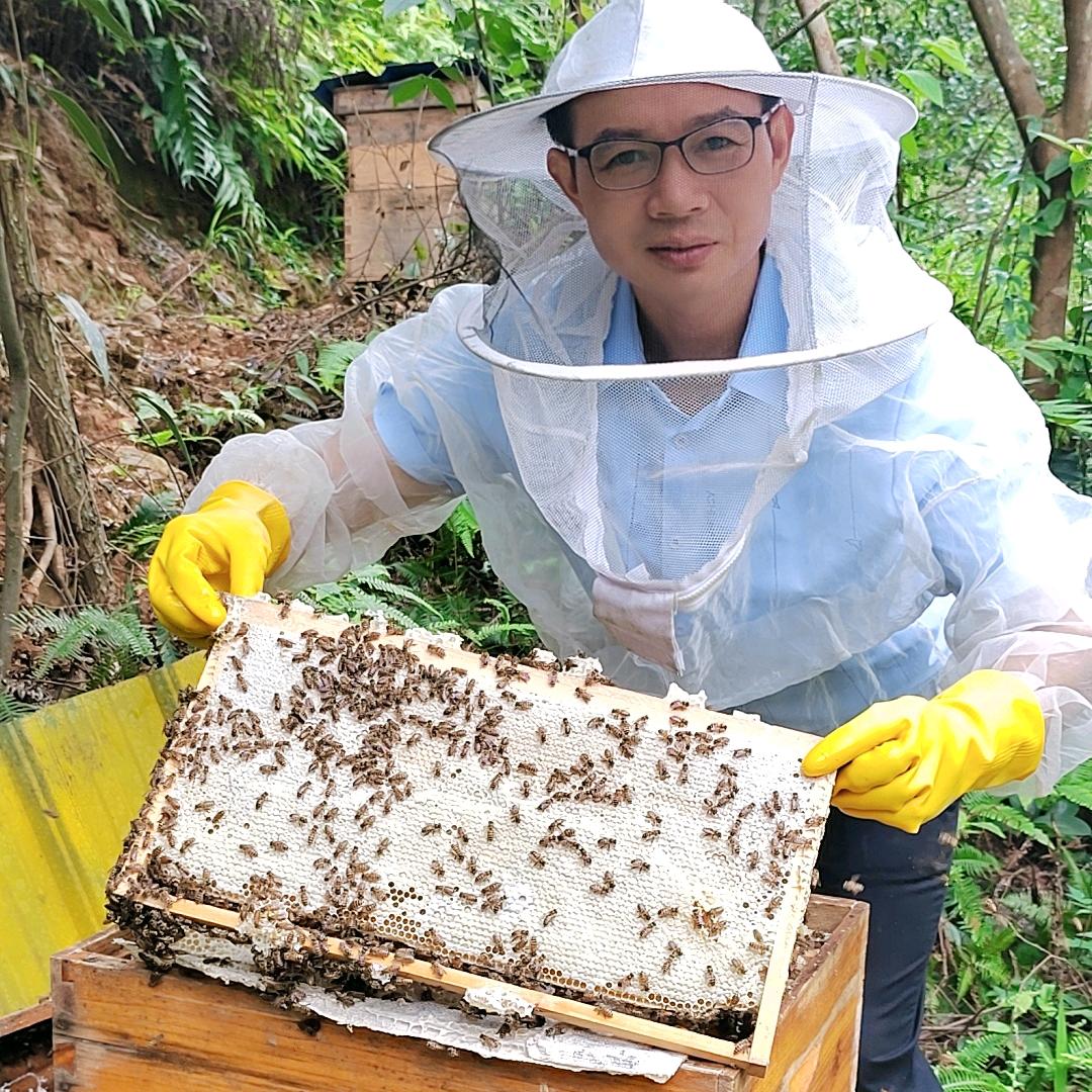 井冈山刘自明土蜂蜜