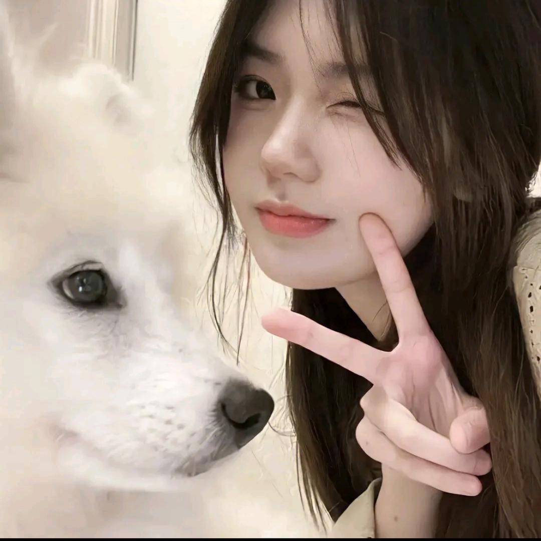 番茄不炒蛋ʚʕ̯•͡˔•̯᷅ʔɞ