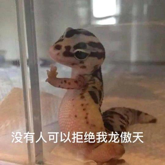 北鼻🐶