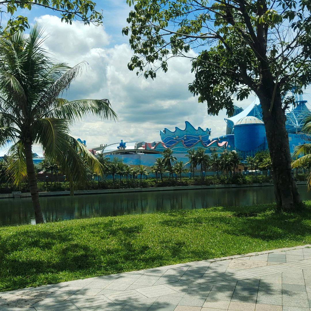 海花岛   金小妹