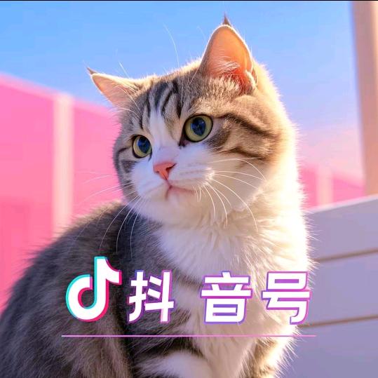 萌绒次元局