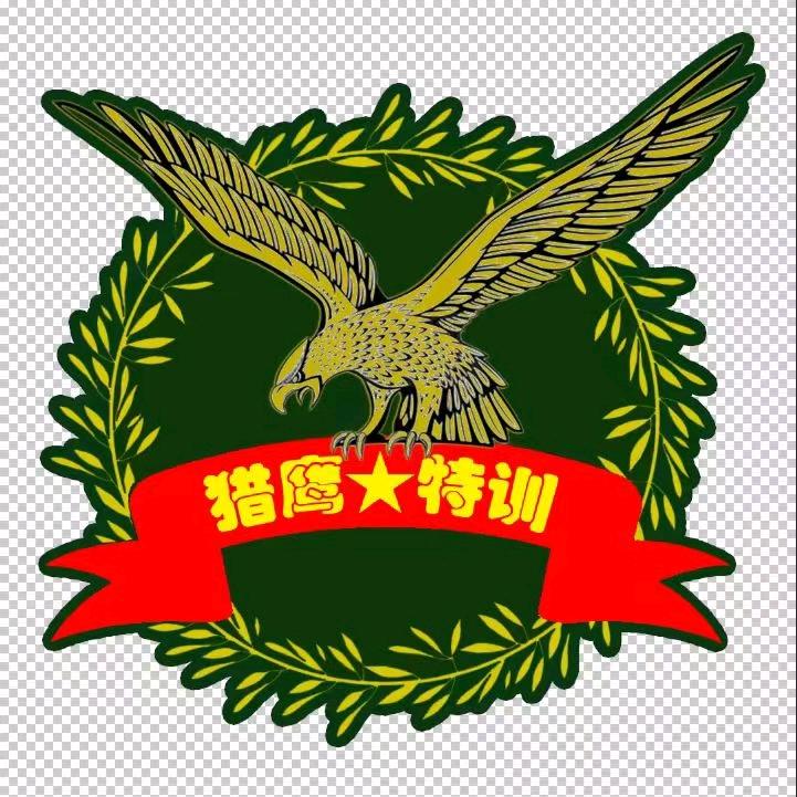 猎鹰特训营