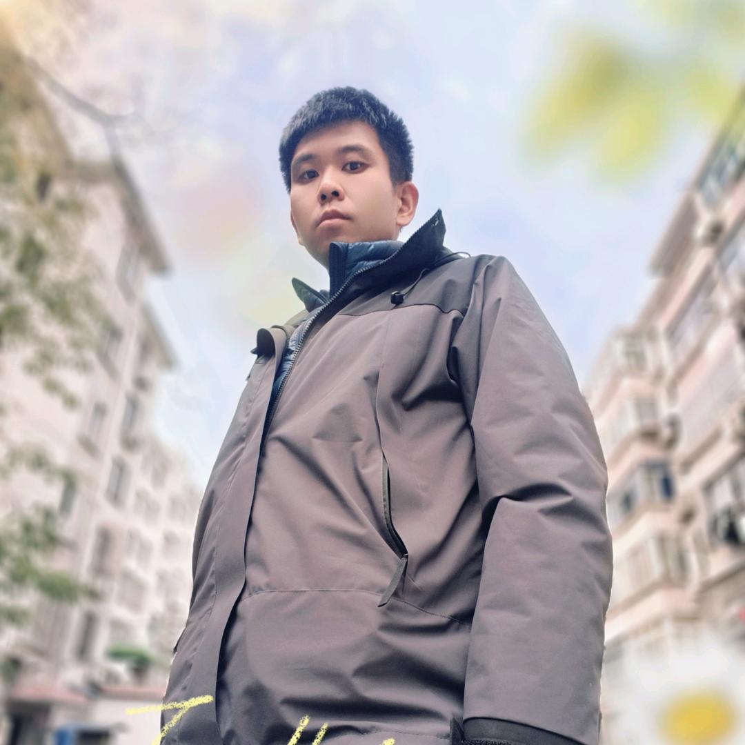 路上的猫