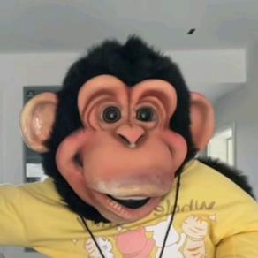 小布的儿子小豆豆