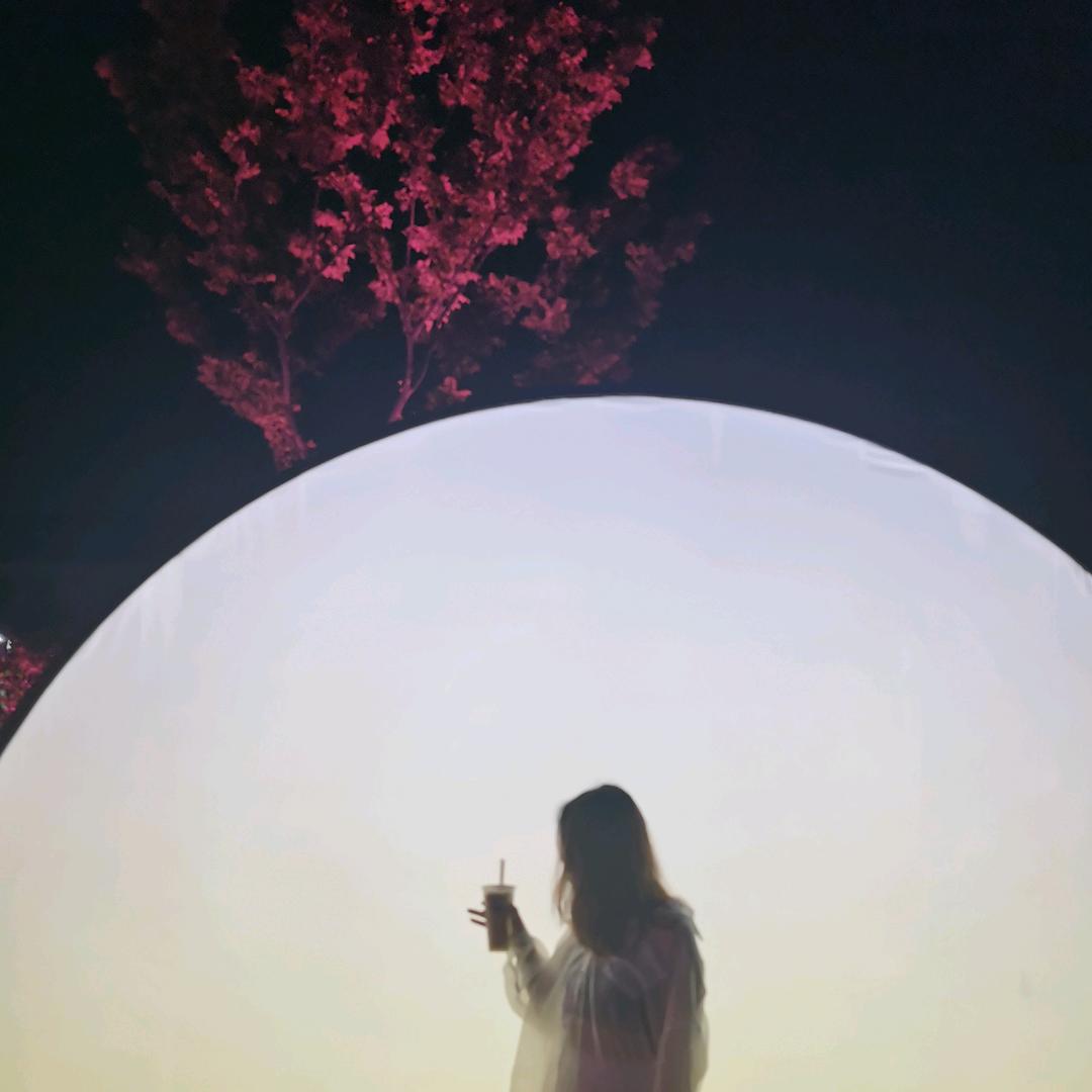 我是云儿
