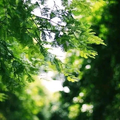 用户9472062307895花