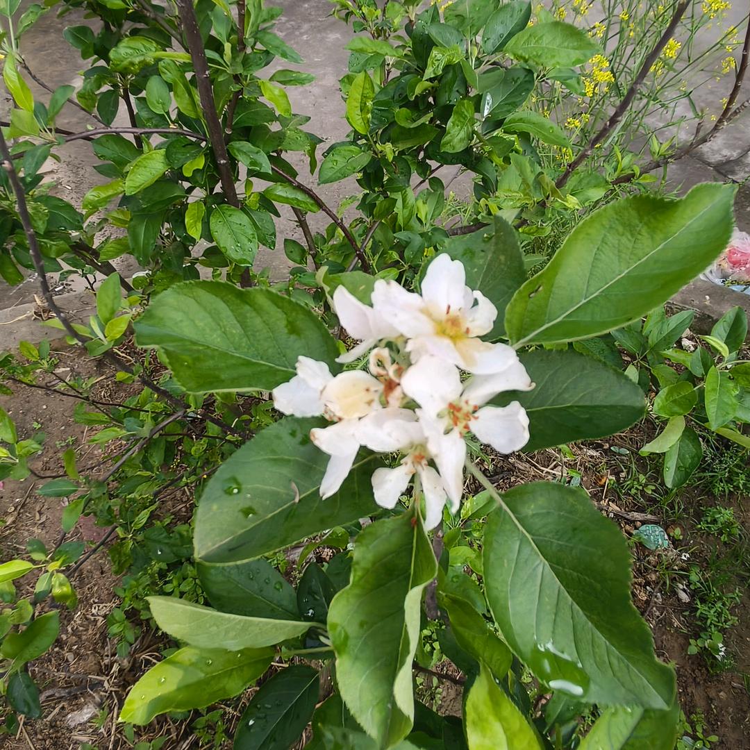 我们的天使ঞ章₅₂₀李💞࿐