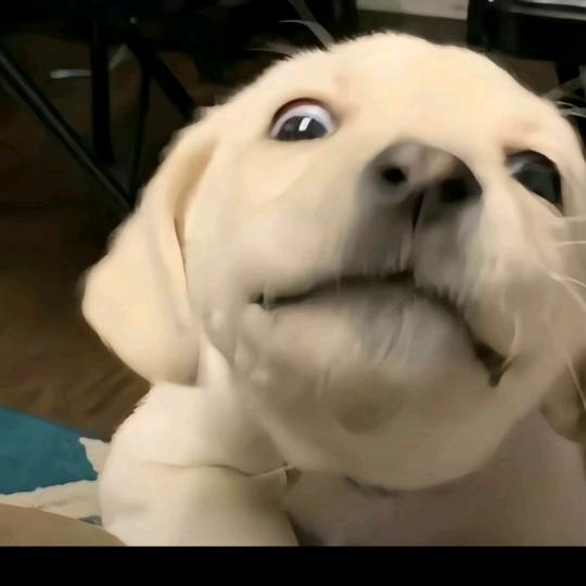 柒。。