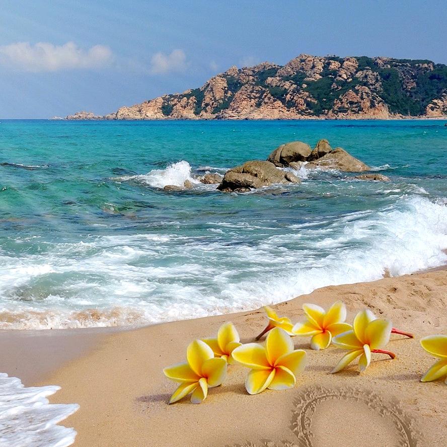 捂住耳朵静一静👰‍♀️