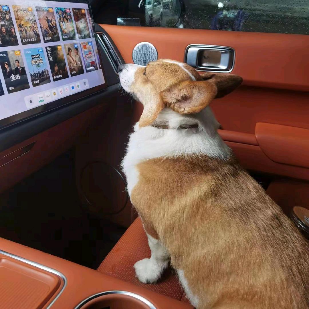 龙总工来了（幕后6）