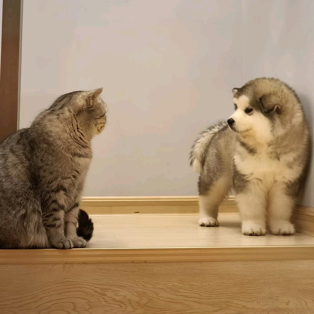 饼饼妈(Bing!Cafe)