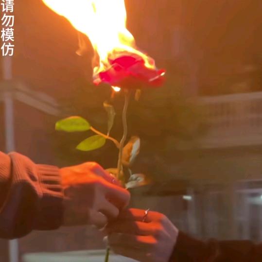 半亩时年