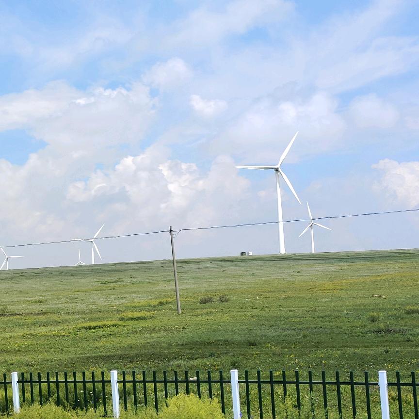 烟花下的月季🌷