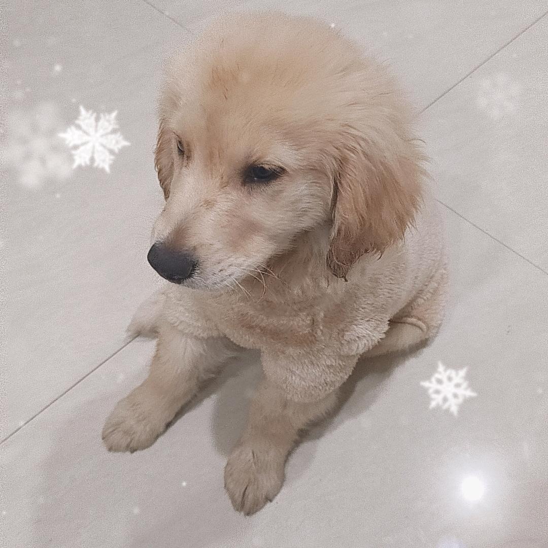 প꯭ᩚ༅迎财酱ଓꦿ࿐钱多多