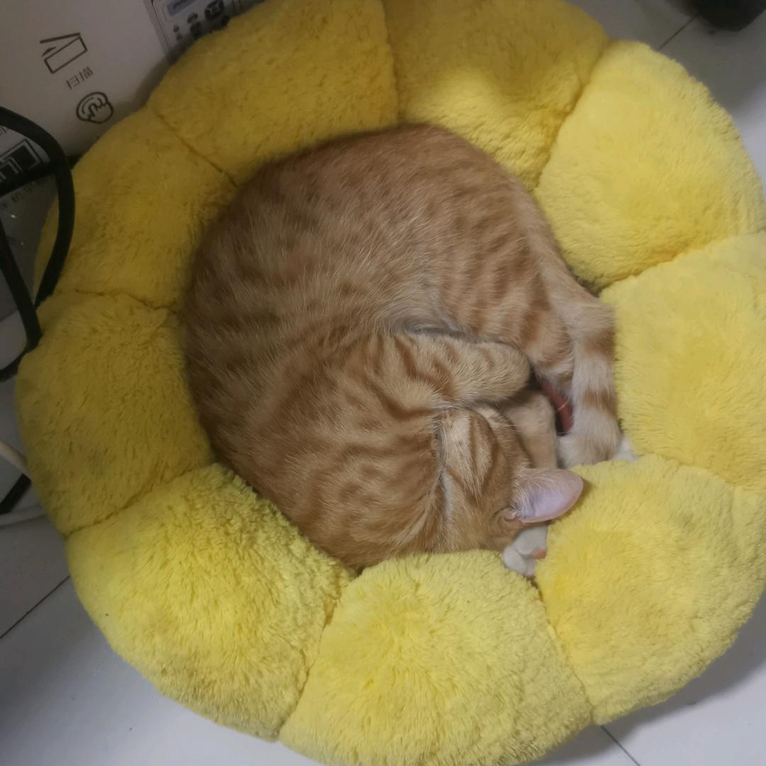 🌈🌈涵诺小宝贝