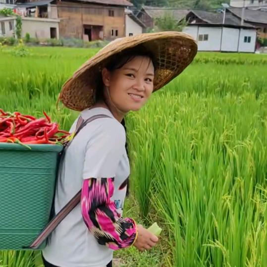 乡村云姐梯田农贸基地