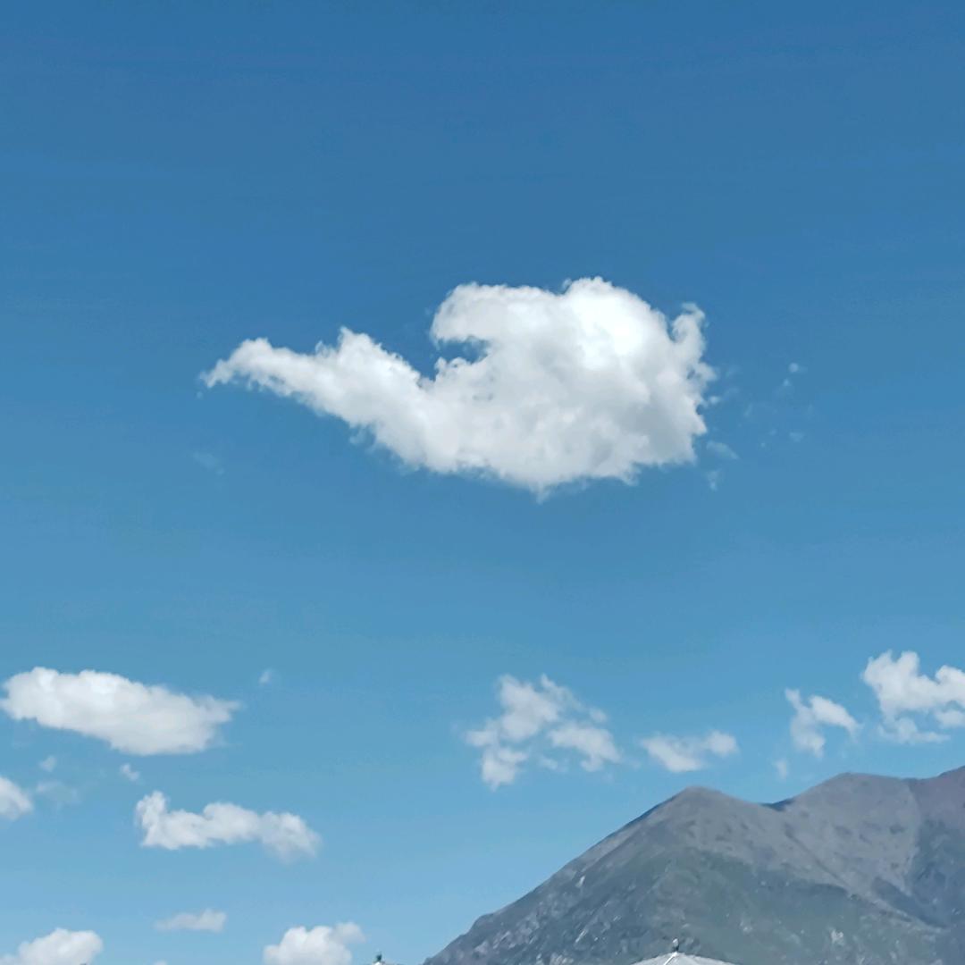 酿酒王子