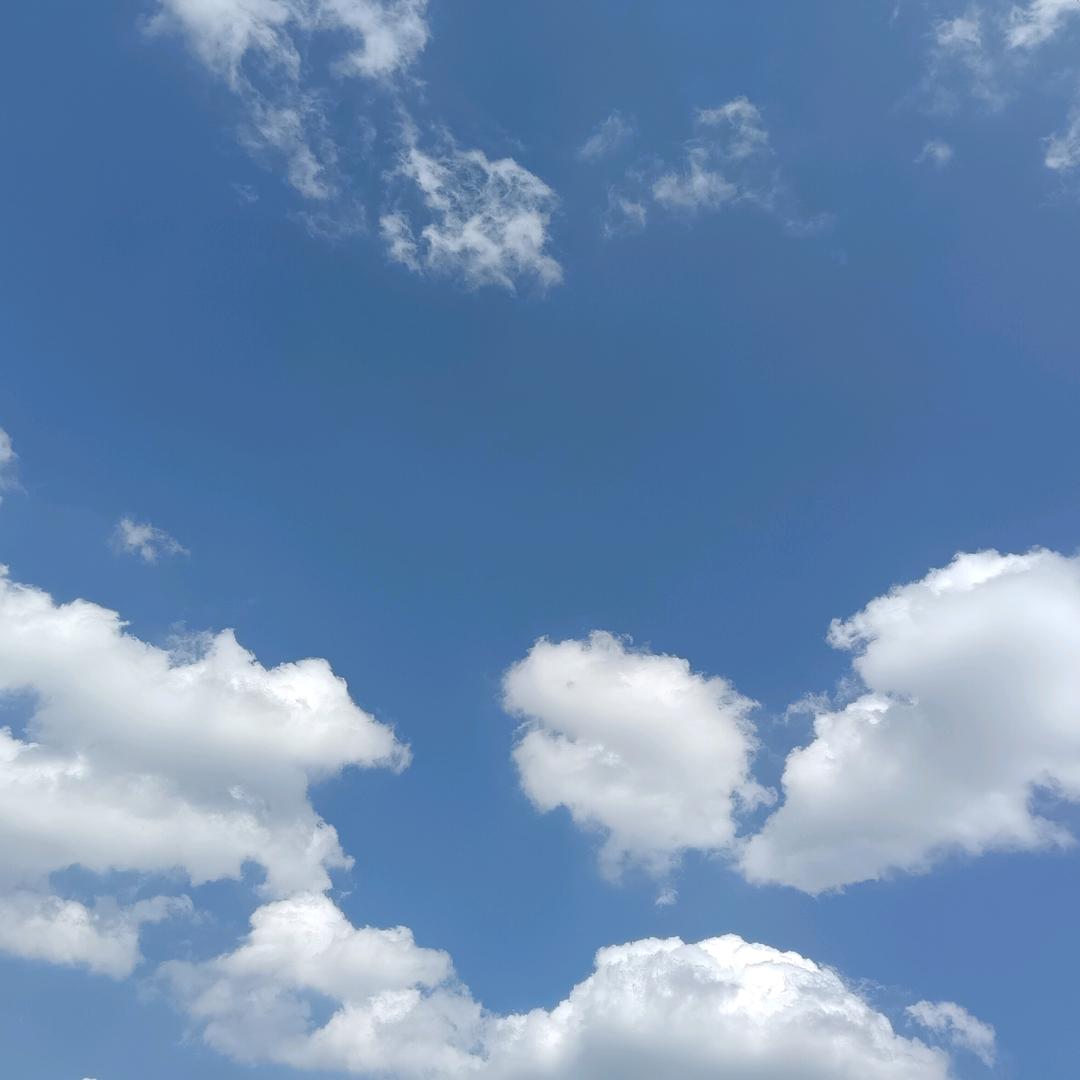 鱼和熊掌不可兼得
