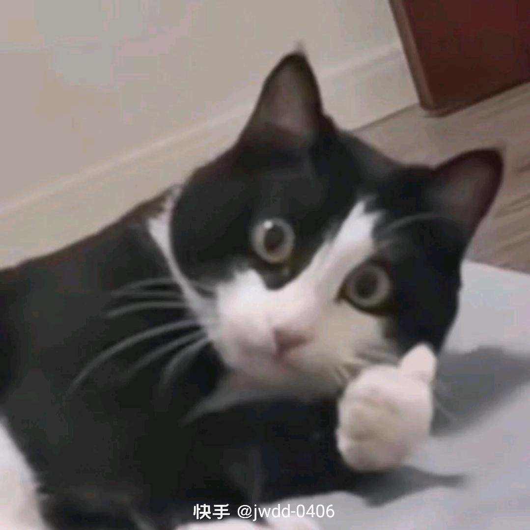 旺仔没馒头