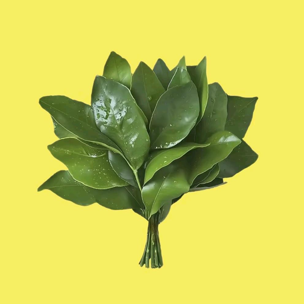 ღ᭄ꫛ与我এۣۖิ无关᭄࿐