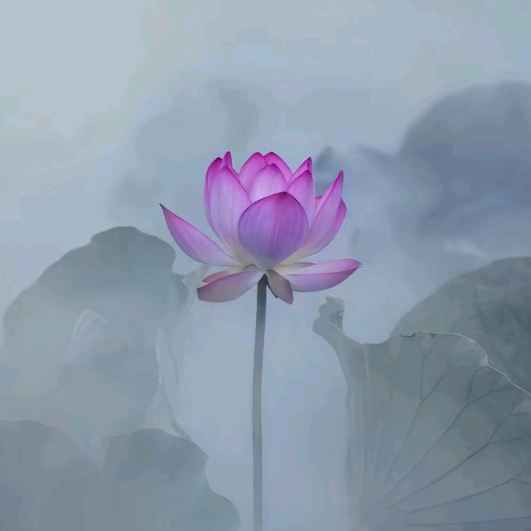 ぺ順淇臫橪ξ