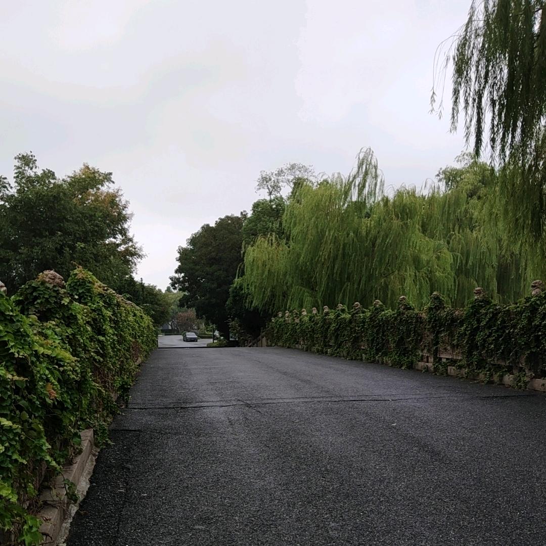 如何٩是好
