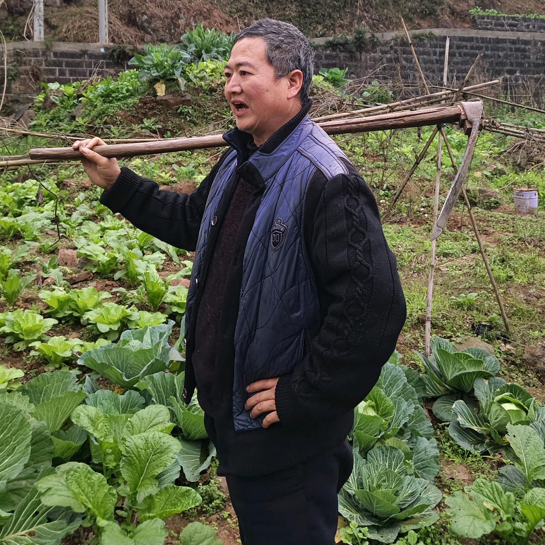 秋生哥