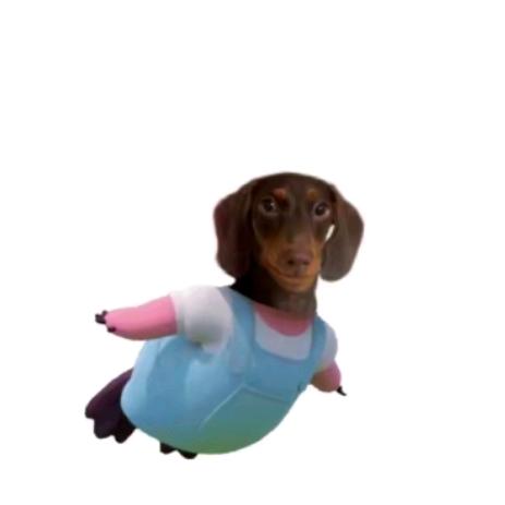 RedaMancy