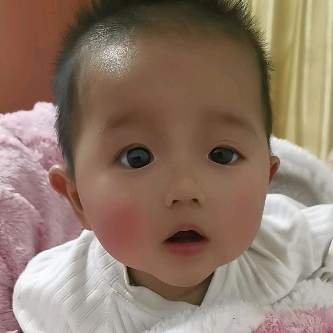 豫N小粽子在新R