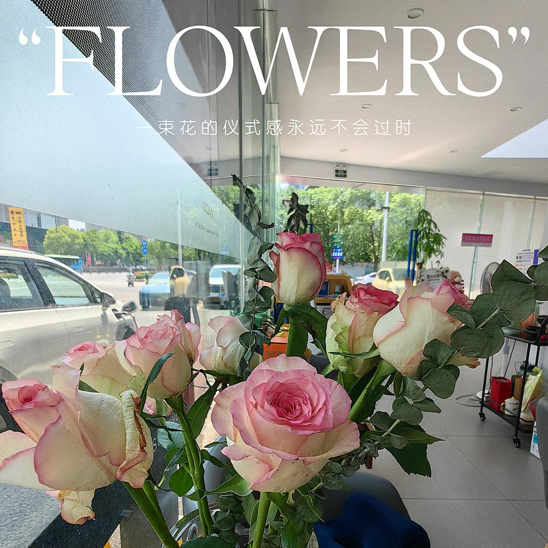 卖埃安的小精灵