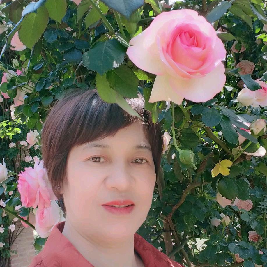 70年9月14日，杨二姐