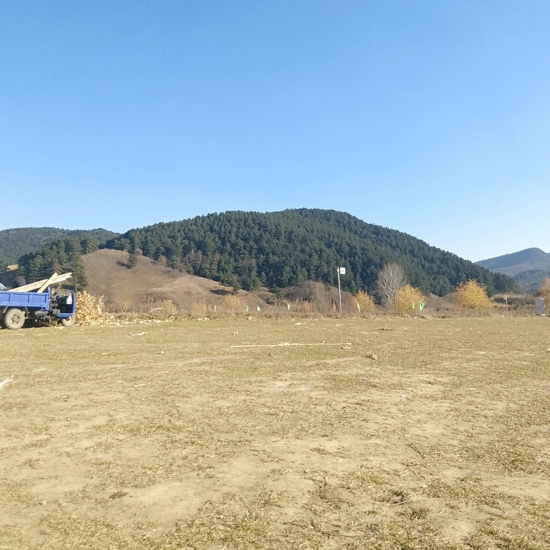 追求人生，彰显未来。