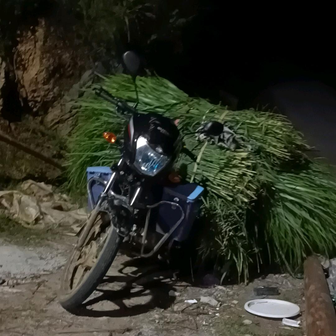 浪迹天涯过一生