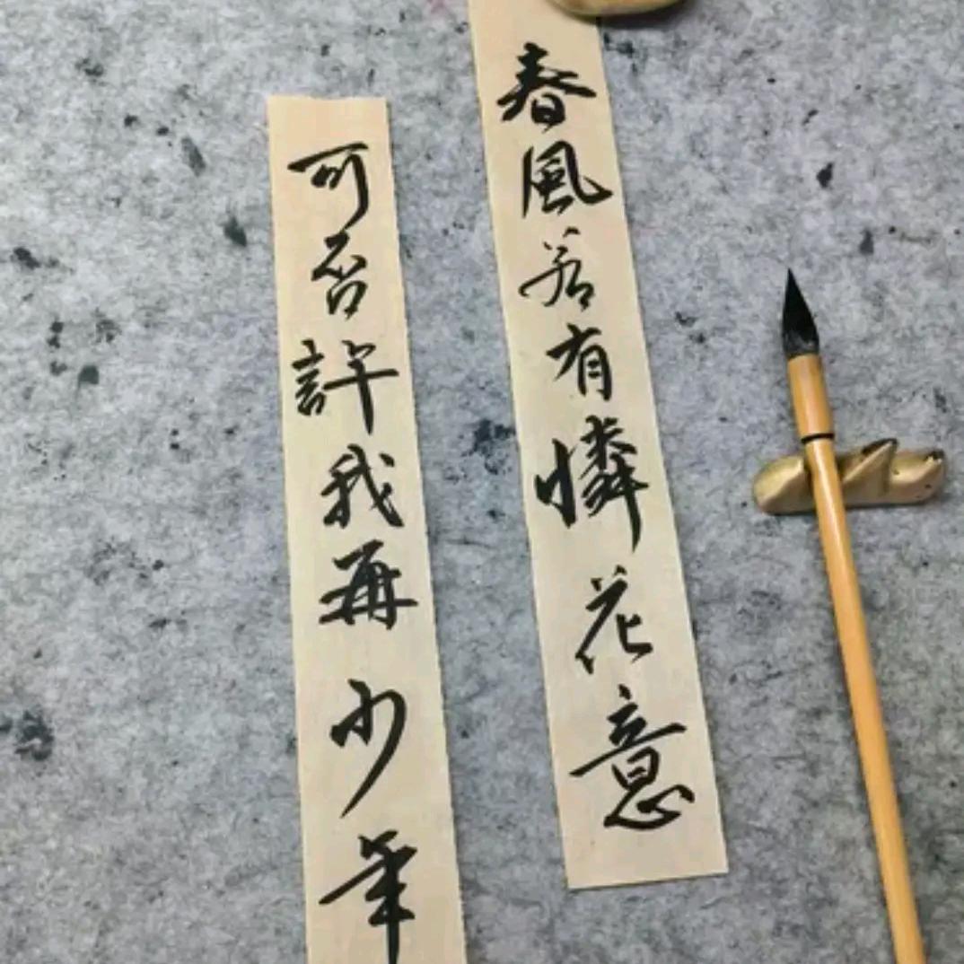 哥斯拉蜗牛队长