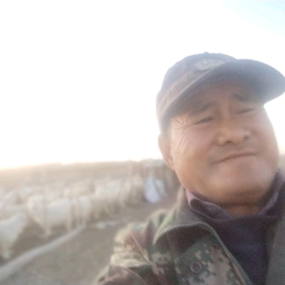 牧羊人灬