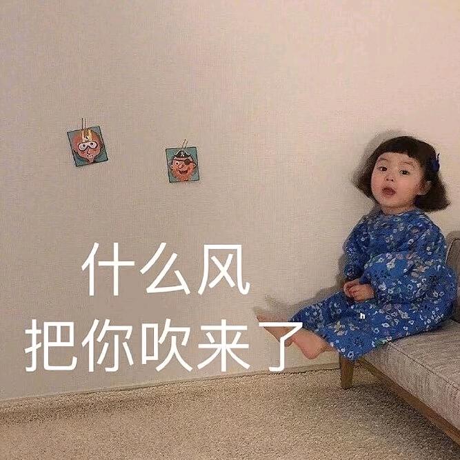 ✨  大当家i