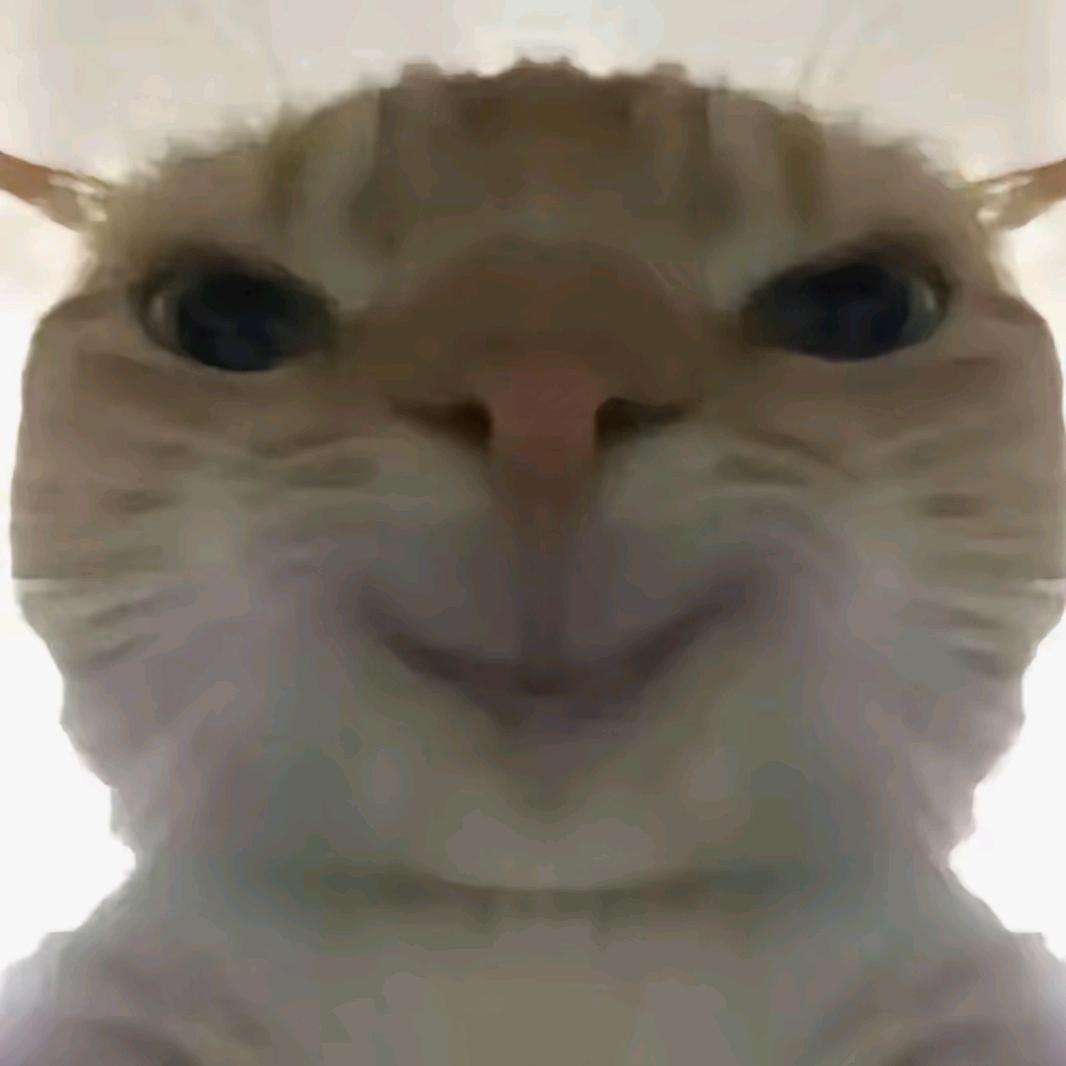 猫meme搞笑院