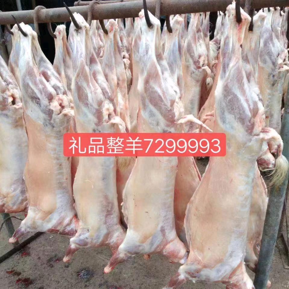 汶上天天鲜-刘先生
