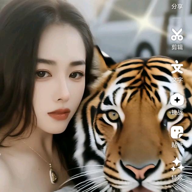 肖姐❤️碎