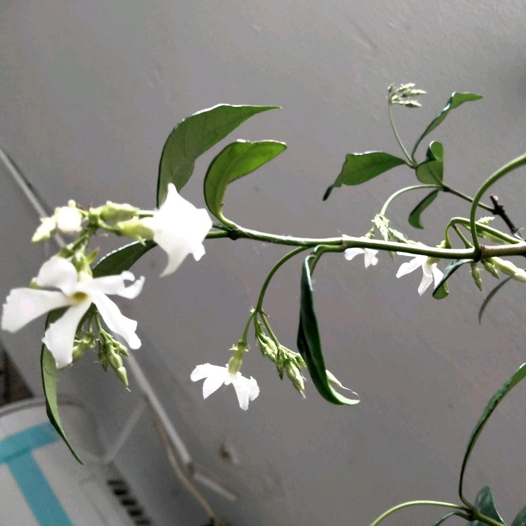 一生阳光
