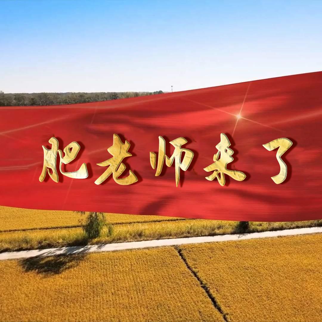 肥老师来了