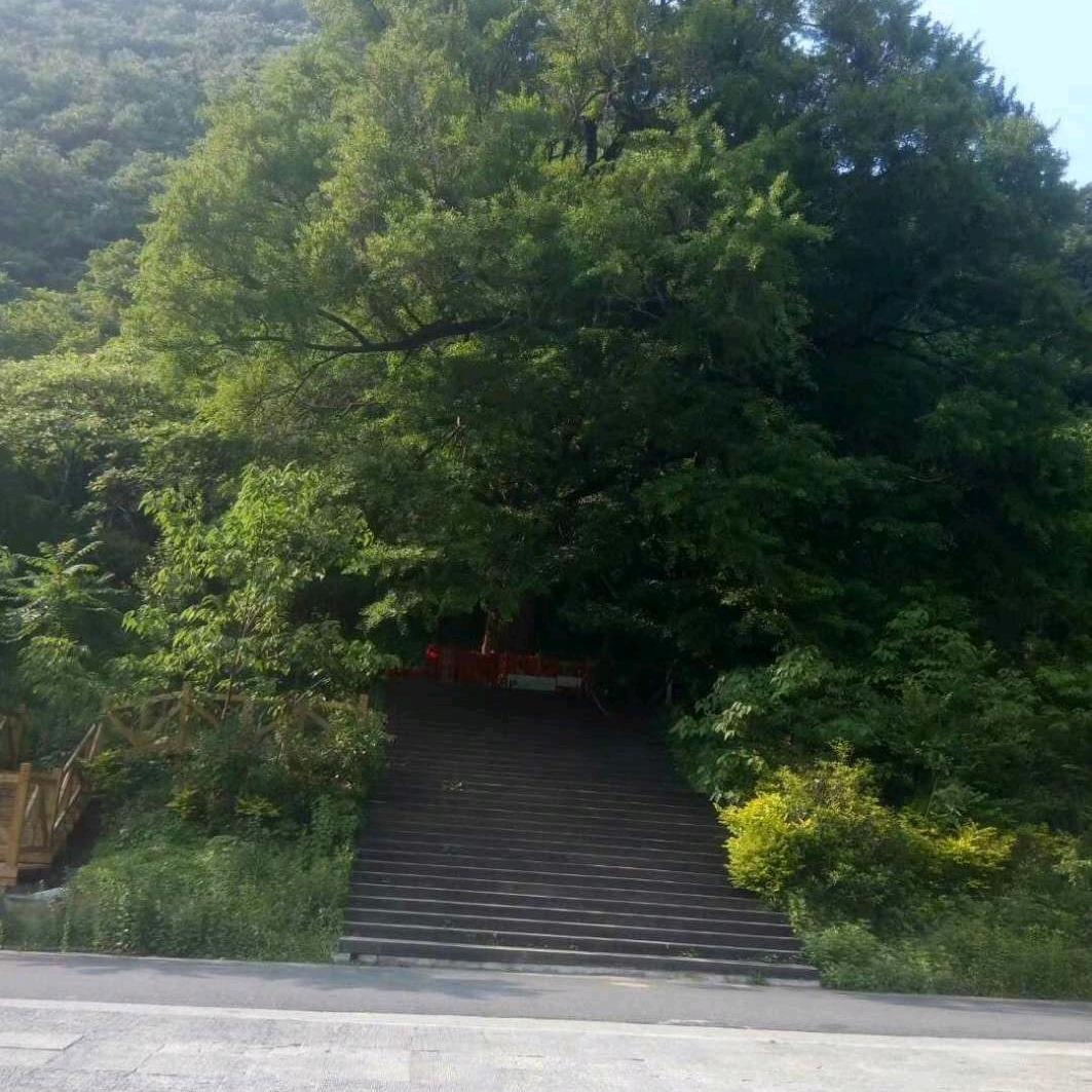 精雕石刻