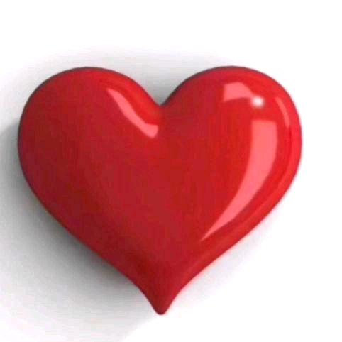 贵阳圣浩网格布厂