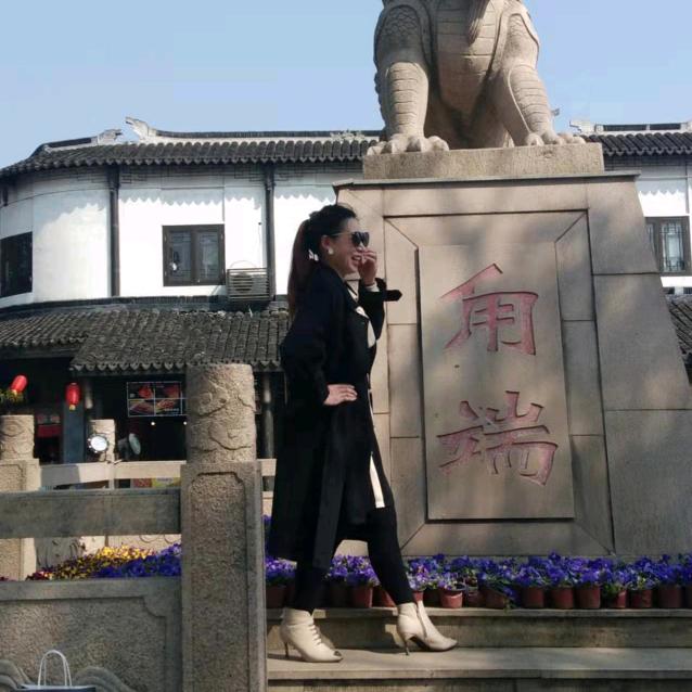 漂泊的燕子