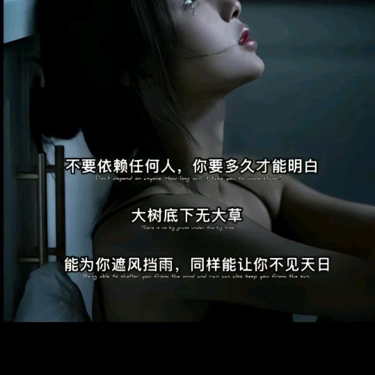 柠檬精🌹