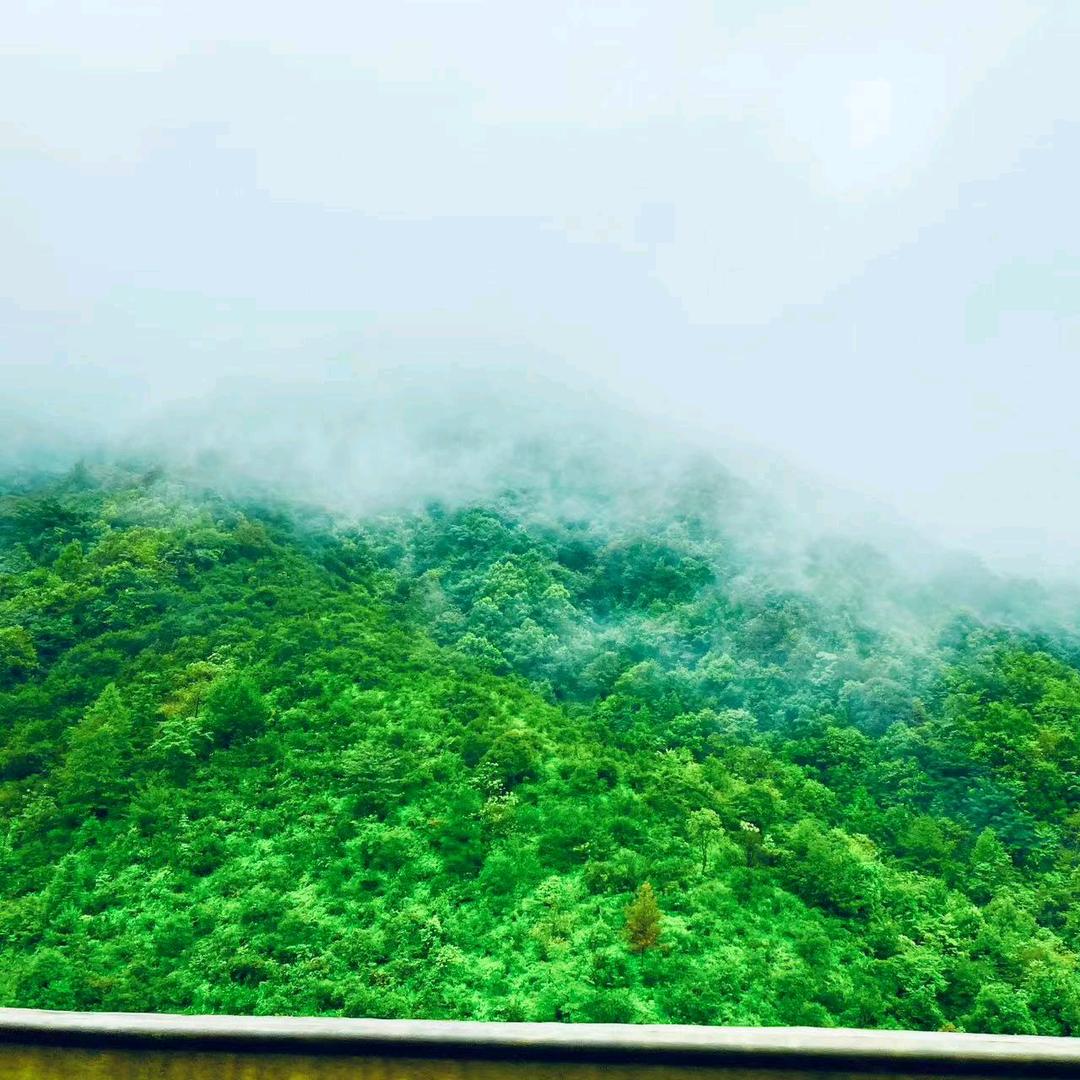 长清龟汁狗肉馆